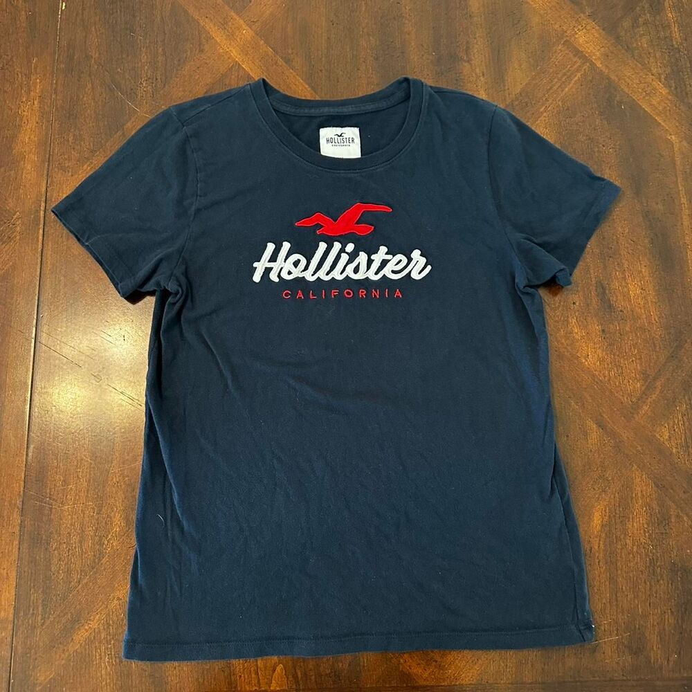 Hollister-co Men's Black and Navy T-shirt